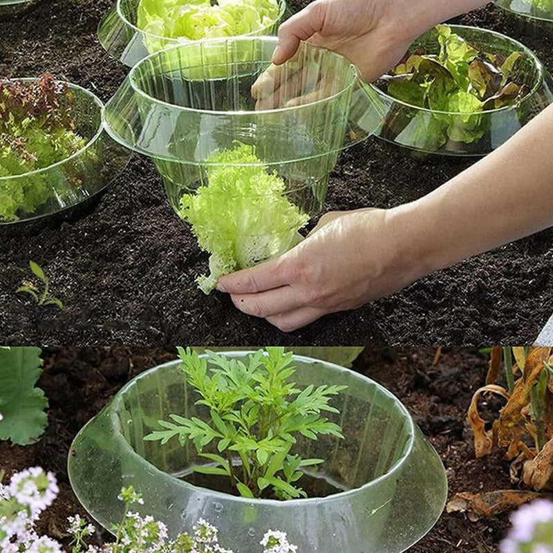 Proteção Vegetal de Coleira